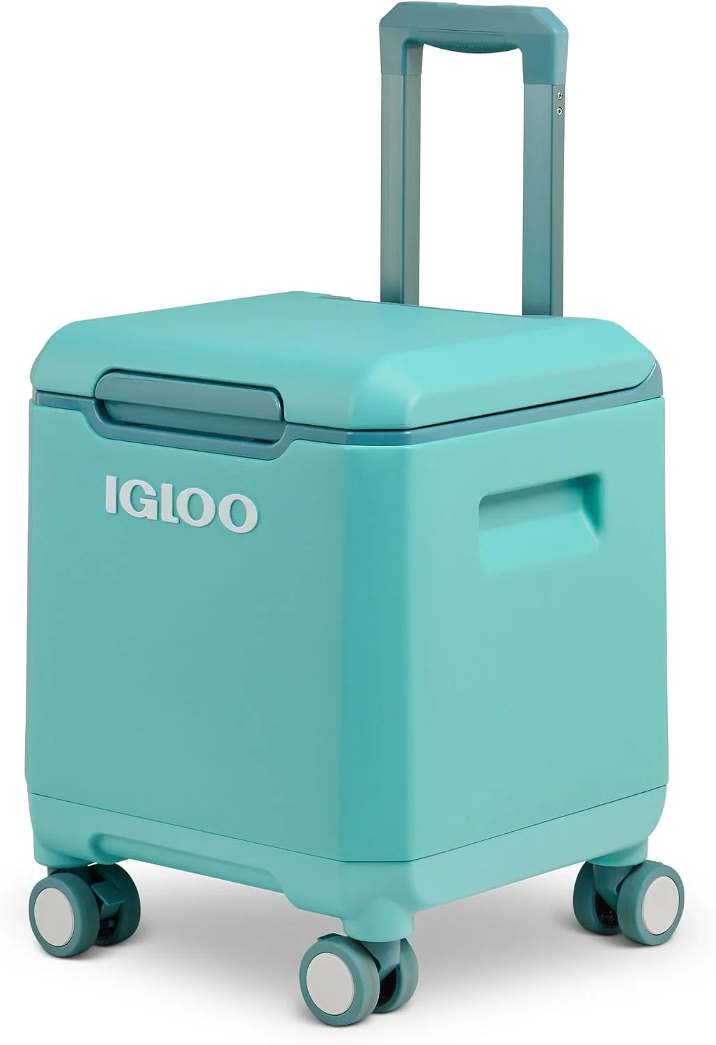 Special Tag Along Too Coolers - Image 12