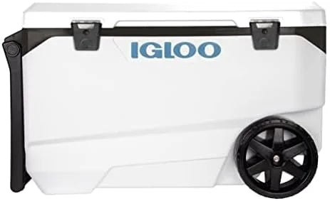 Special Marine Cooler - Image 6