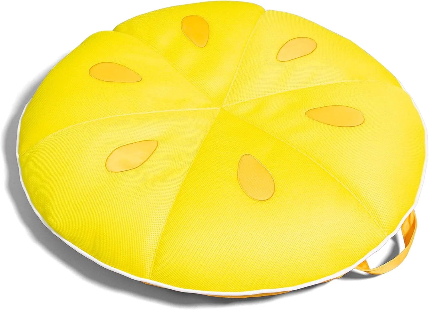 Special Big Joe Fruit Pool Floats, No Inflation Needed, Quick Draining Fabric, Round Loungers and Pool Noodles - Image 3