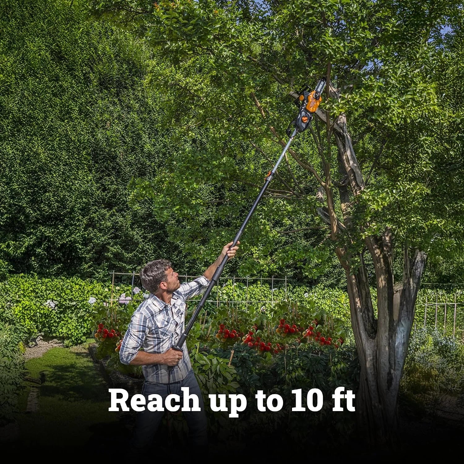 Special Electric Chainsaw, 8 Amp 10 2-in-1 Pole saw, WG311 - Image 3