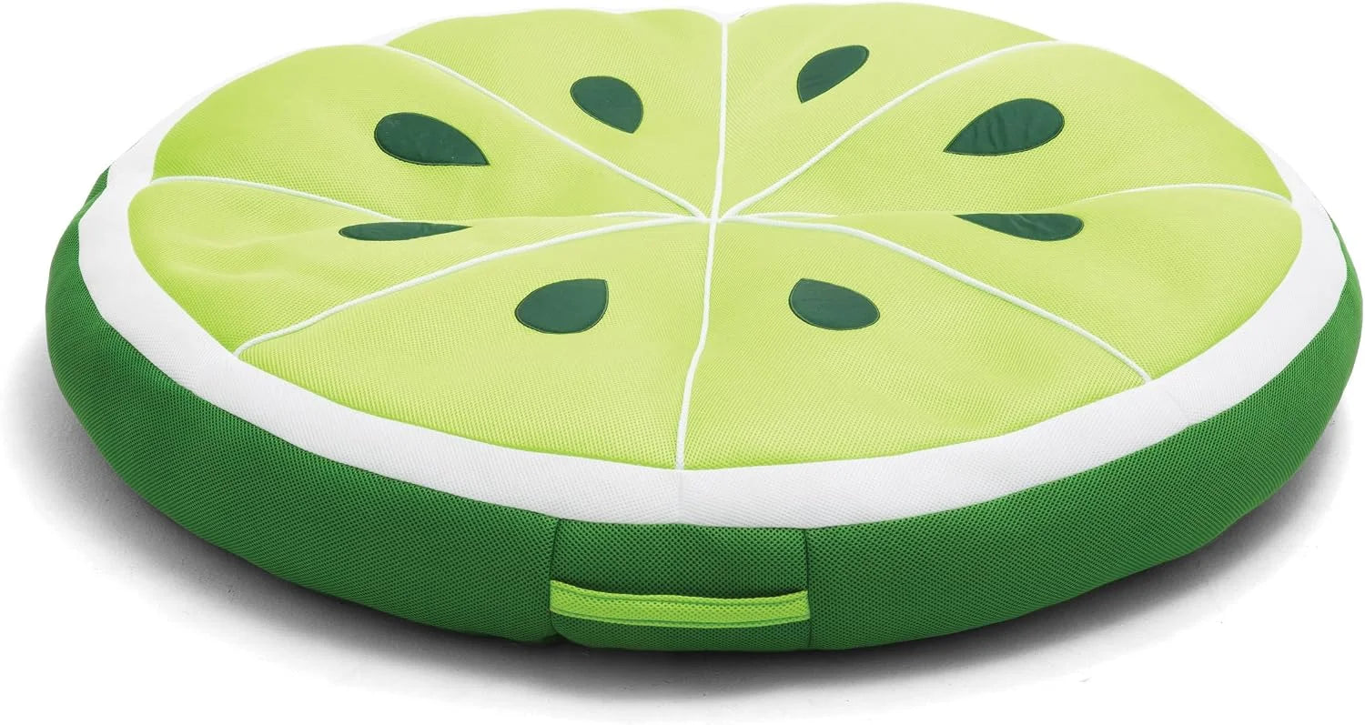 Special Big Joe Fruit Pool Floats, No Inflation Needed, Quick Draining Fabric, Round Loungers and Pool Noodles