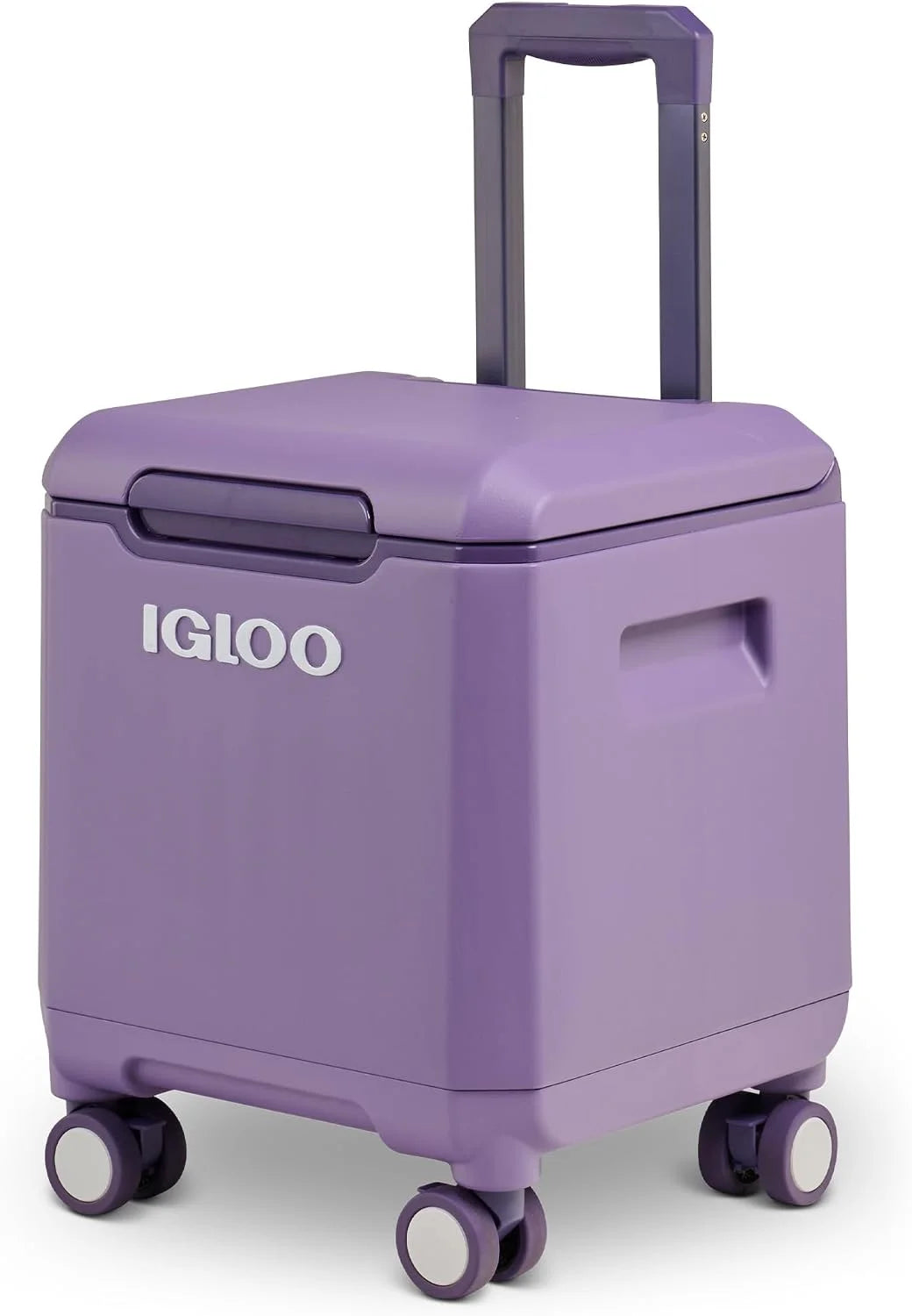 Special Tag Along Too Coolers - Image 6